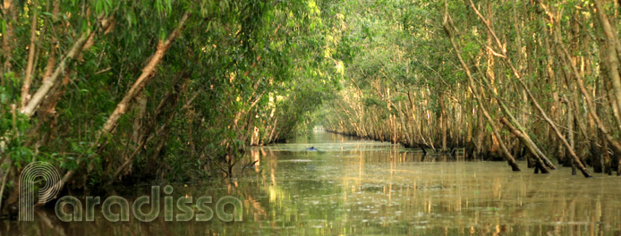 Tram Chim Nature Reserve, Dong Thap