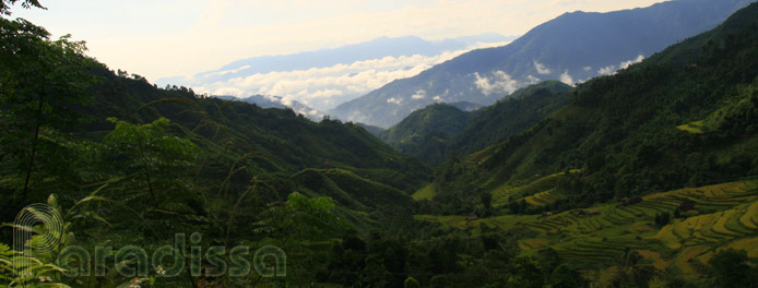 Breathtaking landscape at Thong Nguyen, Hoang Su Phi, Ha Giang