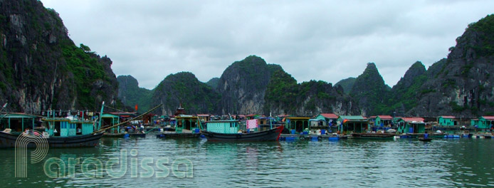 A floating village on Lan Ha Bay near Cat Ba Island, Hai Phong