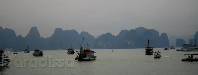 Junks on Halong Bay