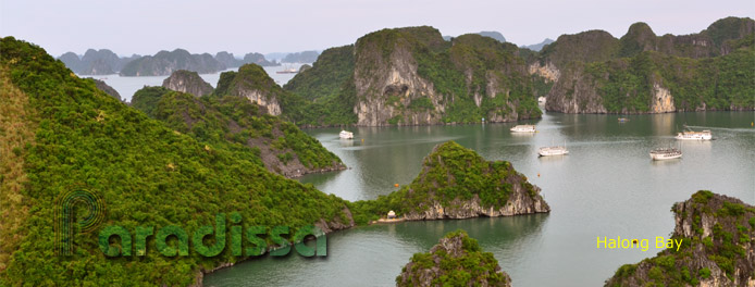 Baie d'Halong