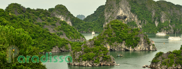 Unreal beauty of Halong Bay from Ti Tov