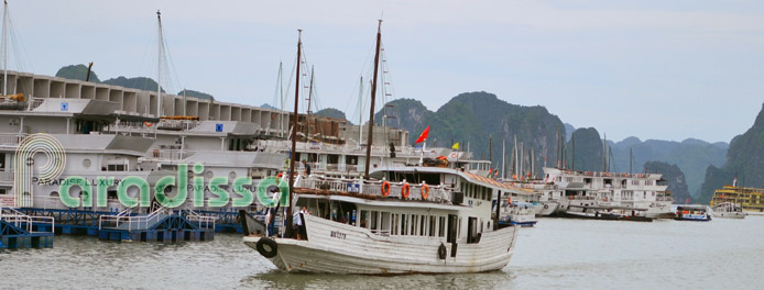 Luxury junks at Tuan Chau Pier on Halong Bay