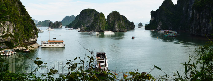 Une belle vue de la grotte de Sung Sot dans la baie d'Along au Vietnam