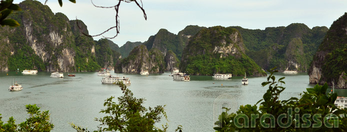 Vietnam Land and Island 10 Days Luxury Travel Agents