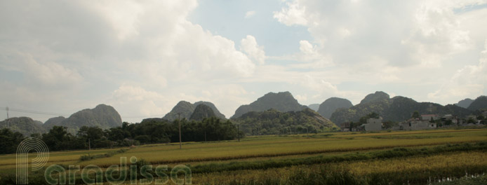 Scenic countryside at Ha Nam Vietnam