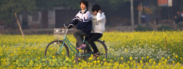 Cycling amid flower fields in Hanoi, Vietnam