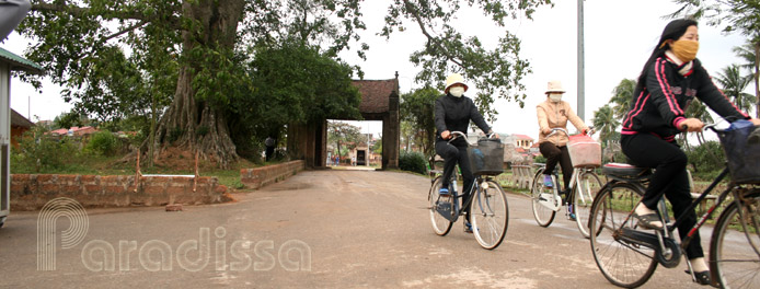 Duong Lam Village Ha Tay