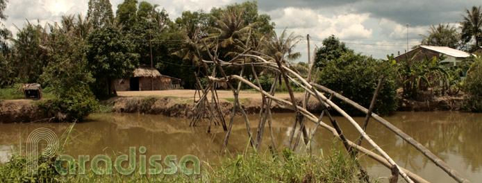 A monkey bridge in Kien Giang