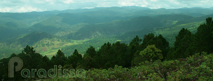 Birding Tours, Bird Watching Vietnam Cambodia Laos Myanmar