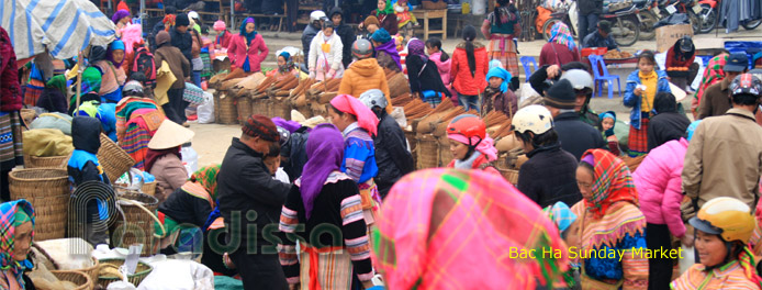 Le marché ethnique de Bac Ha