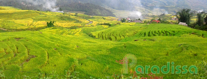 Hypnotizing rice terraces at Den Sang, Bat Xat, Lao Cai