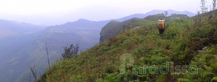 Hiking to Mount Lao Than in Lao Cai Hiking to Mount Lao Than in Lao Cai