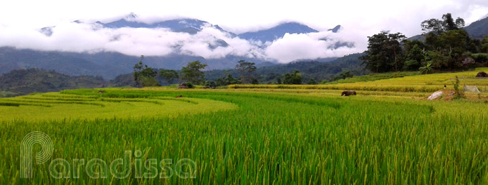 A pristine landscape at Bat Xat, Lao Cai