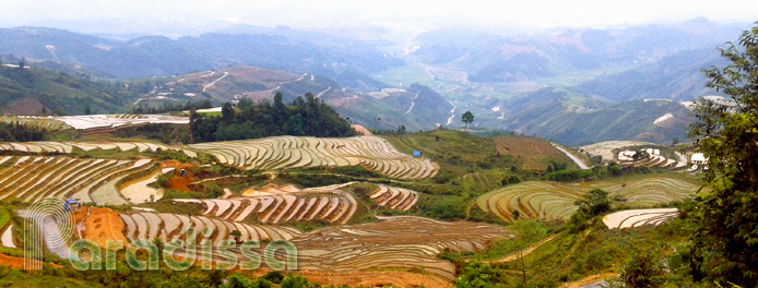 Flooded rice terraces at Trinh Tuong Bat Xat, Lao Cai Flooded rice terraces at Trinh Tuong Bat Xat, Lao Cai