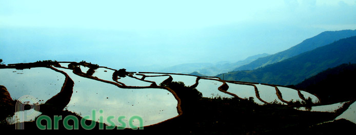 Des rizières en terrasses à Trinh Tuong, Bat Xat, Lao Cai