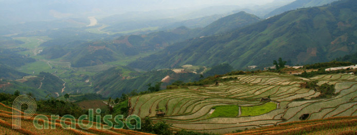 Rice terraces and mountains at Trinh Tuong, Bat Xat, Lao Cai Rice terraces and mountains at Trinh Tuong, Bat Xat, Lao Cai