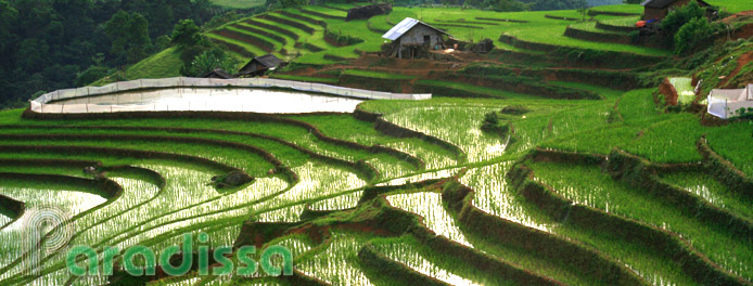 The The Pa Valley at Y Ty, Bat Xat, Vietnam