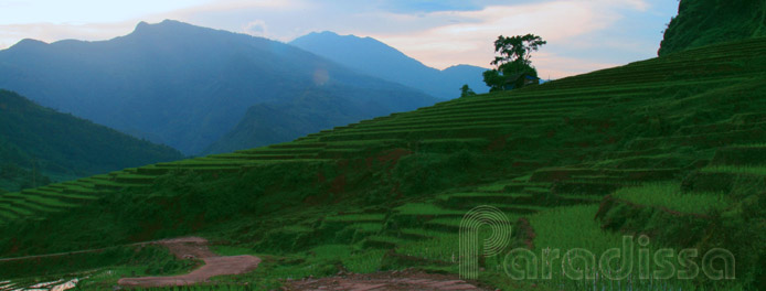 Thien Sinh Valley, Y Ty, Bat Xat, Lao Cai