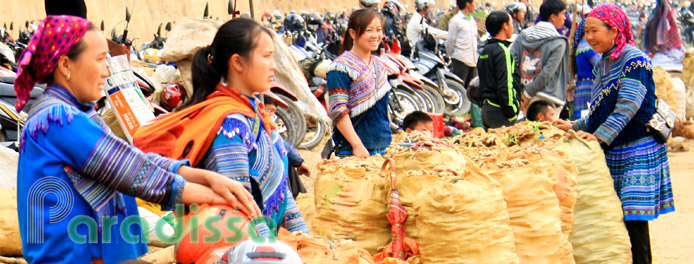 Hmong ladies at Can Cau Market