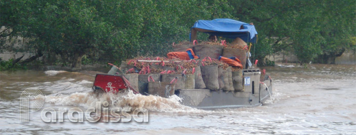 A boat on the Mekong River