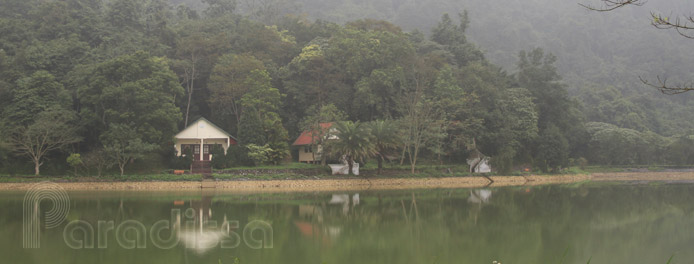 Cuc Phuong National Park - Ninh Binh