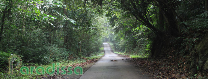 Birding at Cuc Phuong National Park