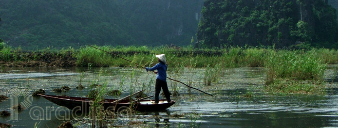 Thung Nham Bird Valley, Ninh Binh 