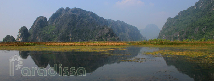 La réserve naturelle de Van Long – Ninh Binh