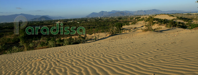 Amazing landscape at the sand dune of Nam Cuong, Ninh Thuan, Vietnam