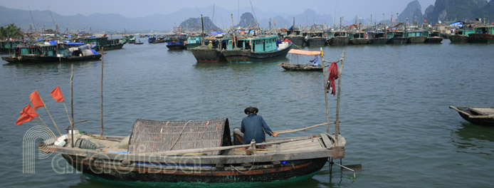 Bai Tu Long Bay, Quang Ninh