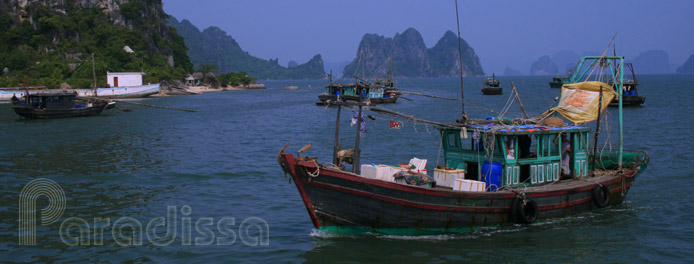 Bai Tu Long Bay, Quang Ninh