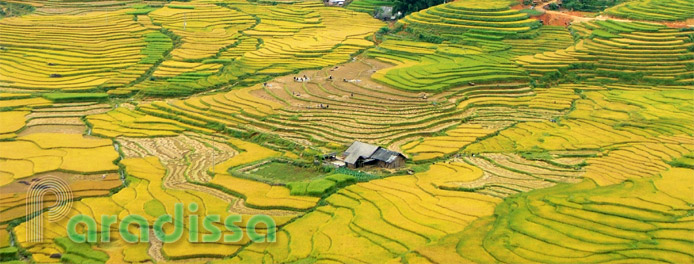 Muong Hoa Valley, Sapa Travel Guide