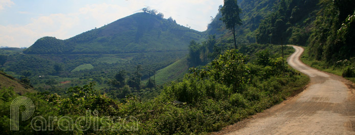 A bike road at Moc Chau A bike road at Moc Chau