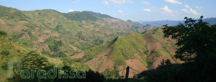 Le plateau de Moc Chau Son La au Vietnam