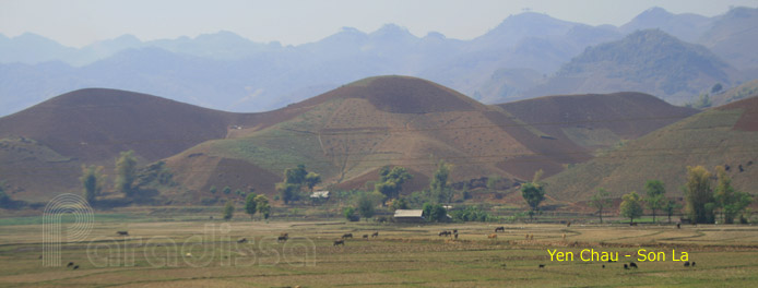 Yen Chau Son La