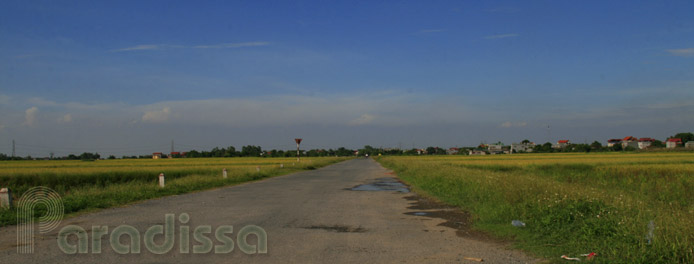 La campagne de Thai Binh