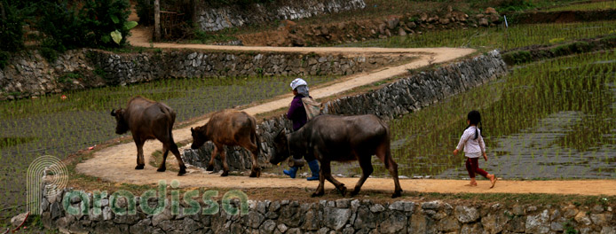 Daily life at ATK Dinh Hoa Thai Nguyen