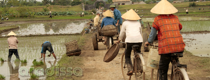 Farmers working at the Ho Citadel