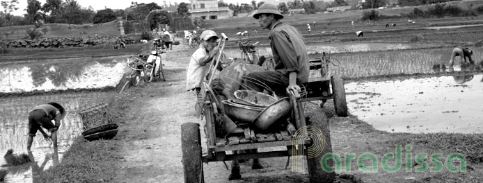 Farming work at the Ho Citadel in Thanh Hoa, Vietnam