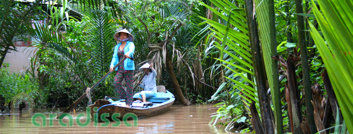 Rowing boat on the Mekong amid a coconut forest