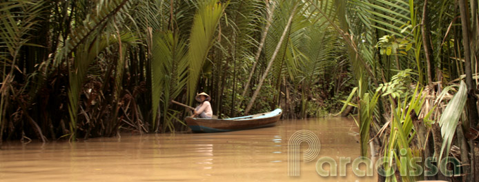 A lady on a rowing boat in a coconut forest at Tien Giang, Vietnam