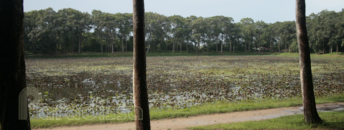 Ba Om Pond at Tra Vinh