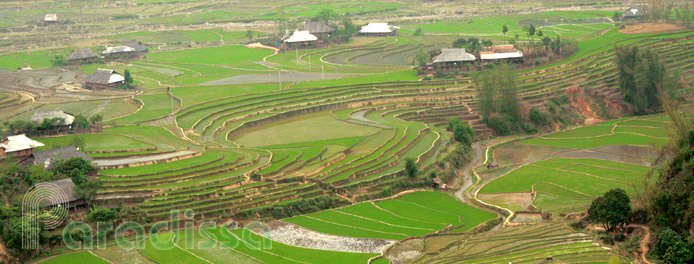 Cao Pha Valley