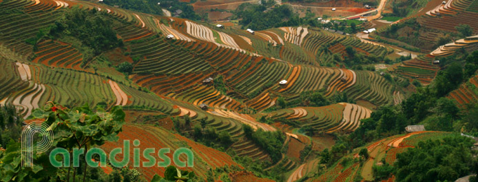 Rice terraces at La Pan Tan, Mu Cang Chai