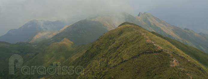 The thin footpath on the way to the summit of Ta Chi Nhu (Phu Song Sung)