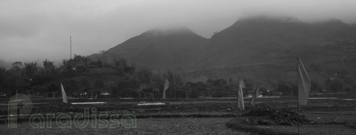 Tu Le fields where French parachute battalions landed during the Nghia Lo Battle