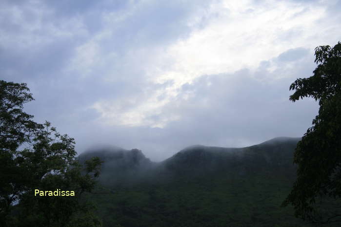 Wild nature at the Khe Ro Forest in Bac Giang Province Vietnam