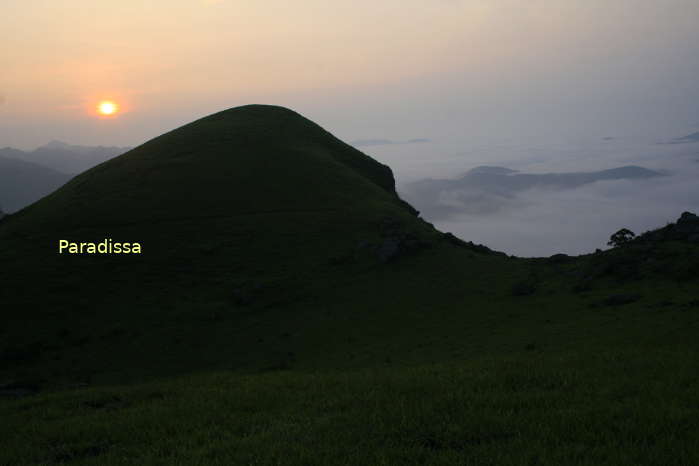 Dawn at Dong Cao Prairie in Son Dong District, Bac Giang