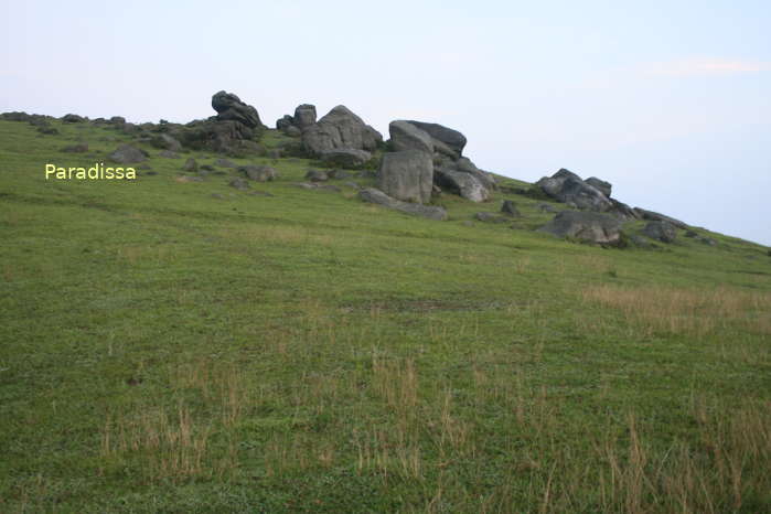 A beautiful grass-covered hill at Dong Cao, Bac Giang